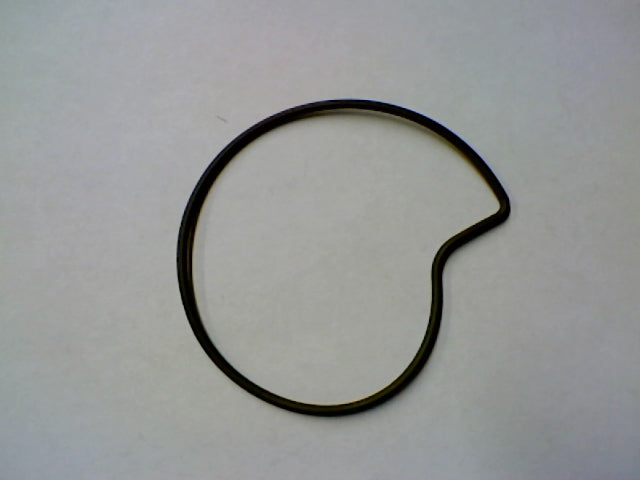 WATER PUMP LEADER O-RING (#485080)