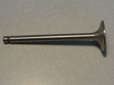 EXHAUST VALVE (#55036125)