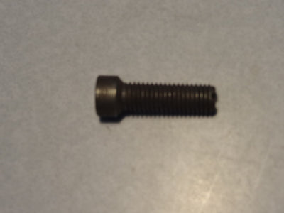 SCREW (#55091300)