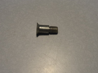 SCREW (#55262300)
