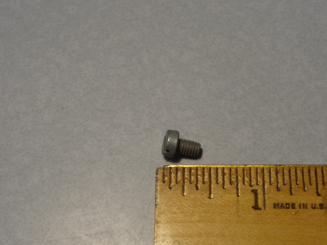 SCREW (#55707900)