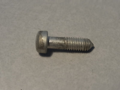 SCREW (#55740328)