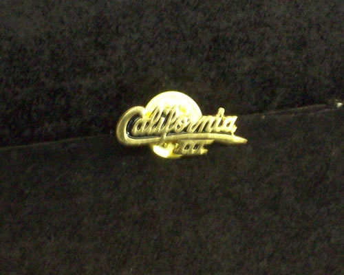 PIN CAL III (#785320)