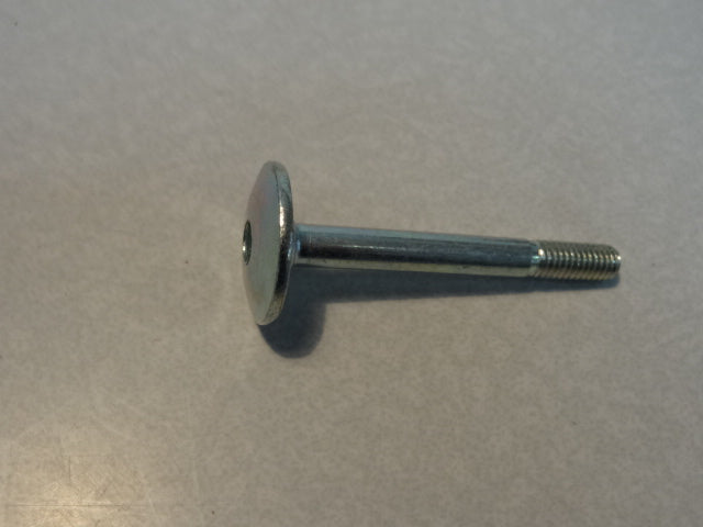 SPECIAL SCREW (#887483)