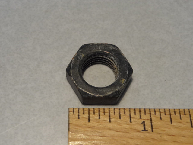 NUT (#92601512)