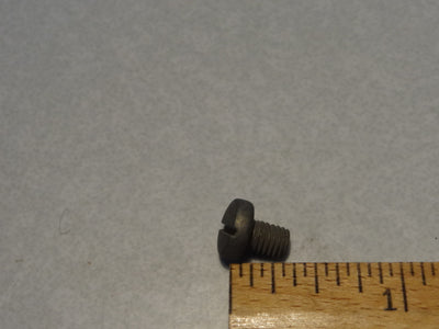 SCREW (#95105013)