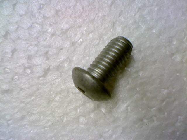 Screw (#98350416)