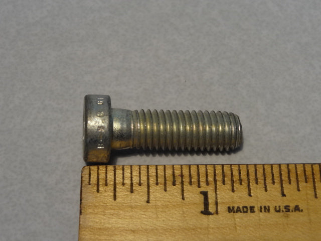 SCREW (#98822425)