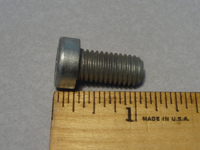 SCREW (#98822520)