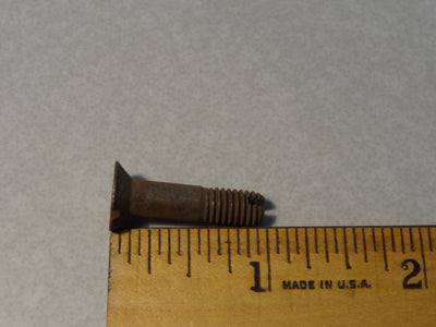 SCREW (#99110064)
