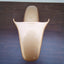 FRONT FENDER GO B (#30434481)