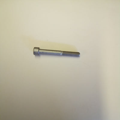 SCREW (#98680465)