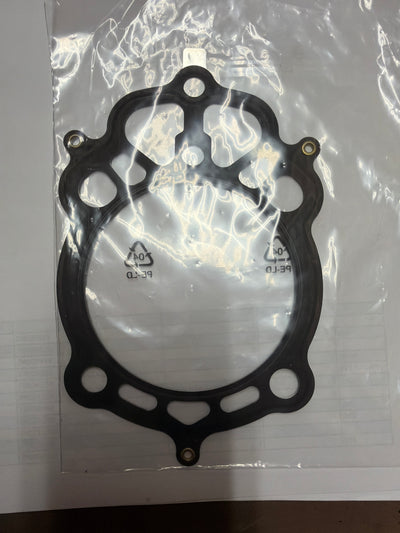 HEAD / CYLINDER GASKET (#1A004660)