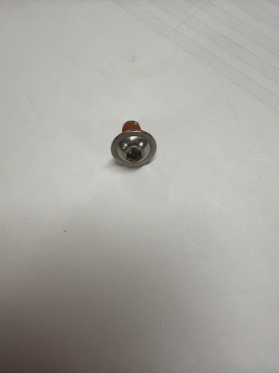 Hex socket screw (#2B000215)