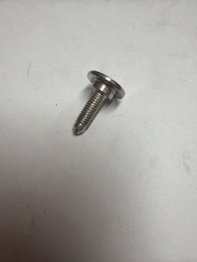 SCREW W/ FLANGE 2B014101