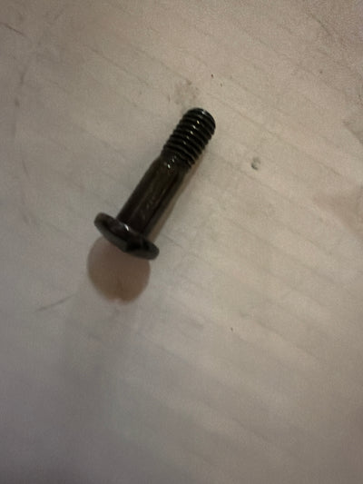 Screw (#AP8213028)