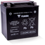 YIX30L-BS Battery