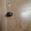 RUBBER (#01573940)