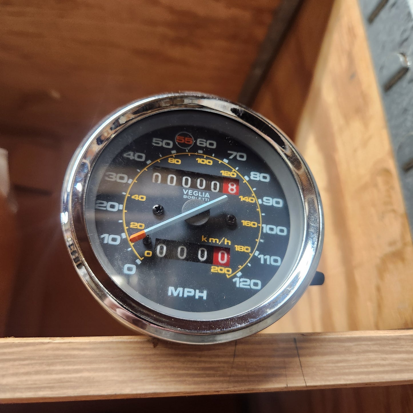 SPEEDO USA (#23762470)