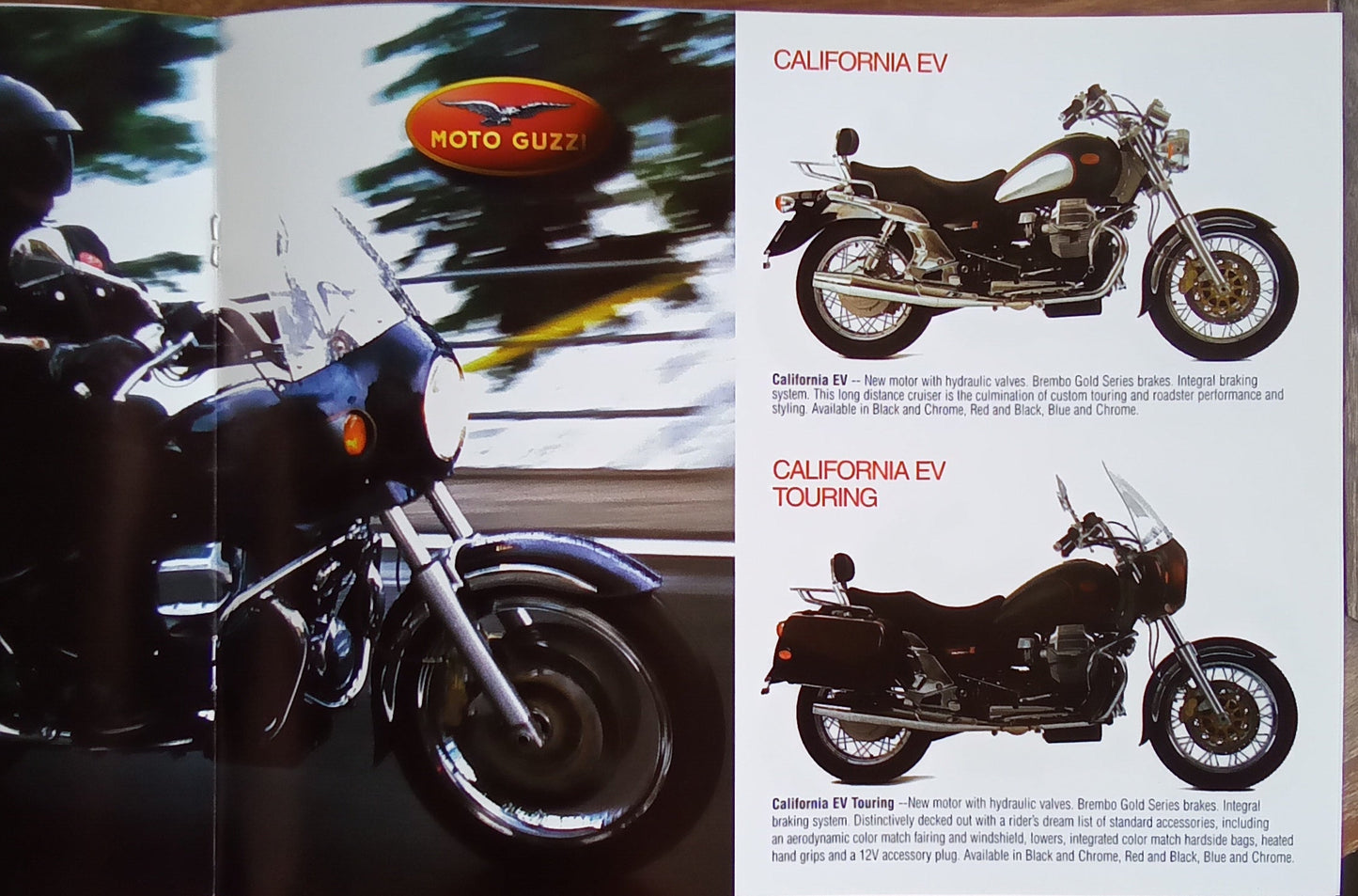 2003-1 Brochure