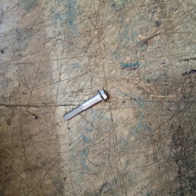 Screw w/flange (#AP8152291)
