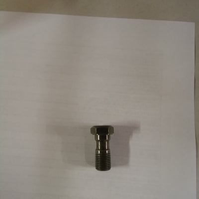 Oil Pipe Screw (#AP8113003)