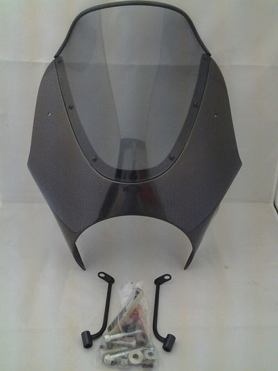 FAIRING, CARBON FIBRE W/WINDSHIELD (#01977240)