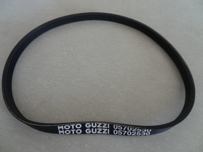 Belt (#05702530)