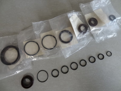 ENGINE OIL SEAL KIT (#05999530)