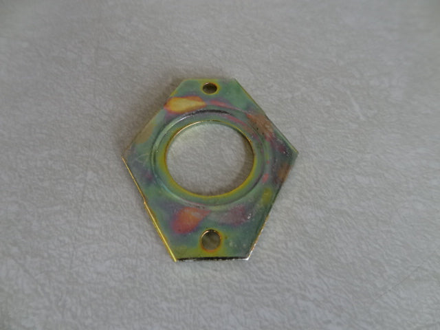 RETAINING PLATE (#12700123)