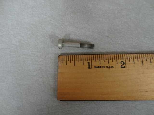 D.K. TERM SCREW (#12700227)