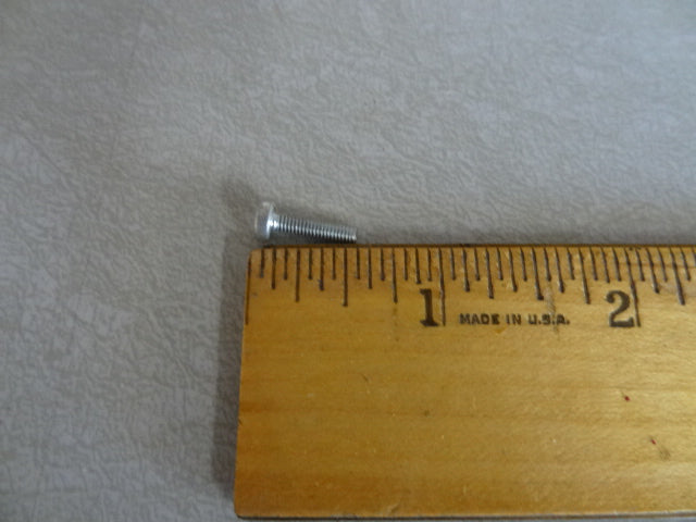 SCREW (#12739920)