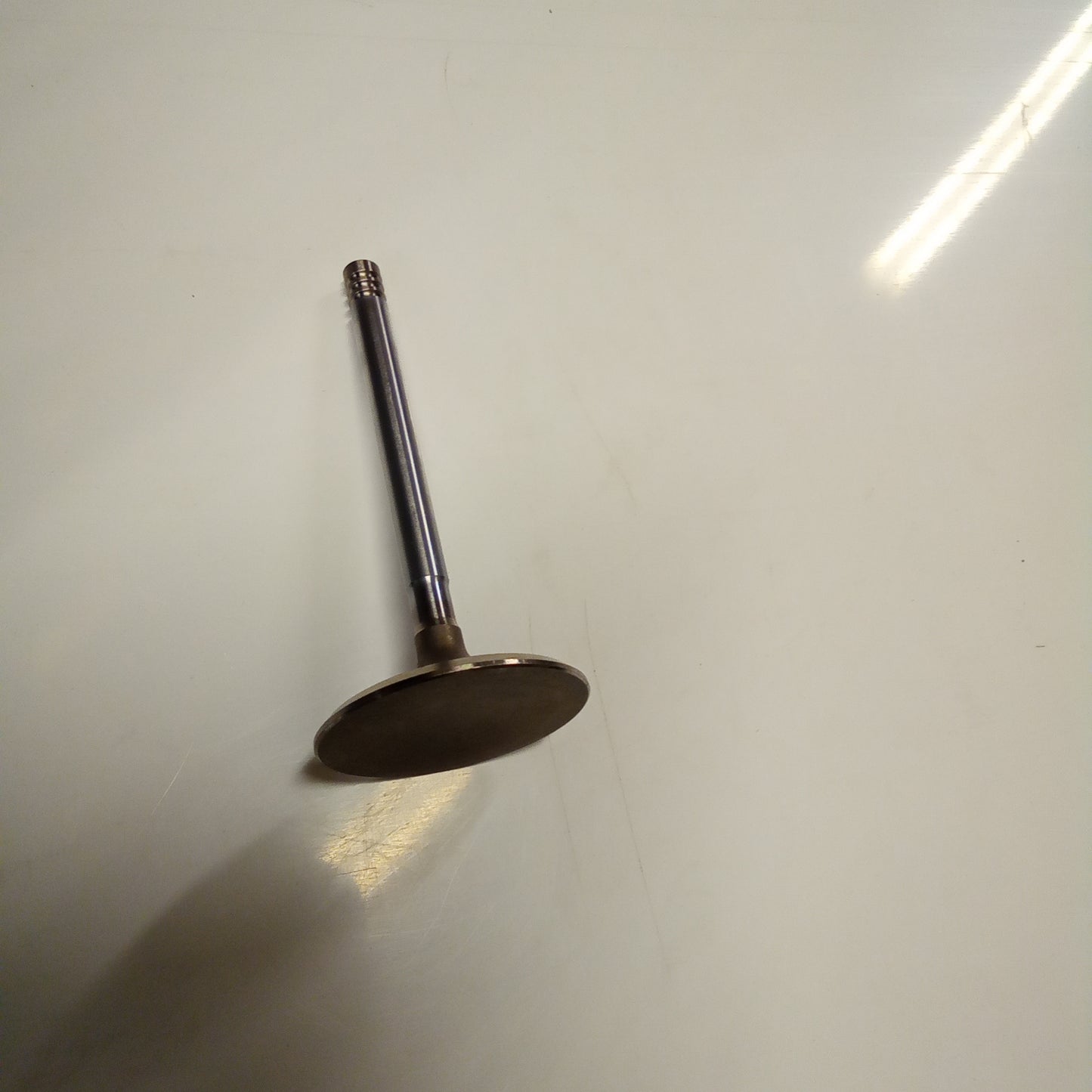 Intake Valve (#05036030)
