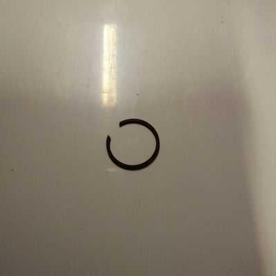 Circlip (#90273026)