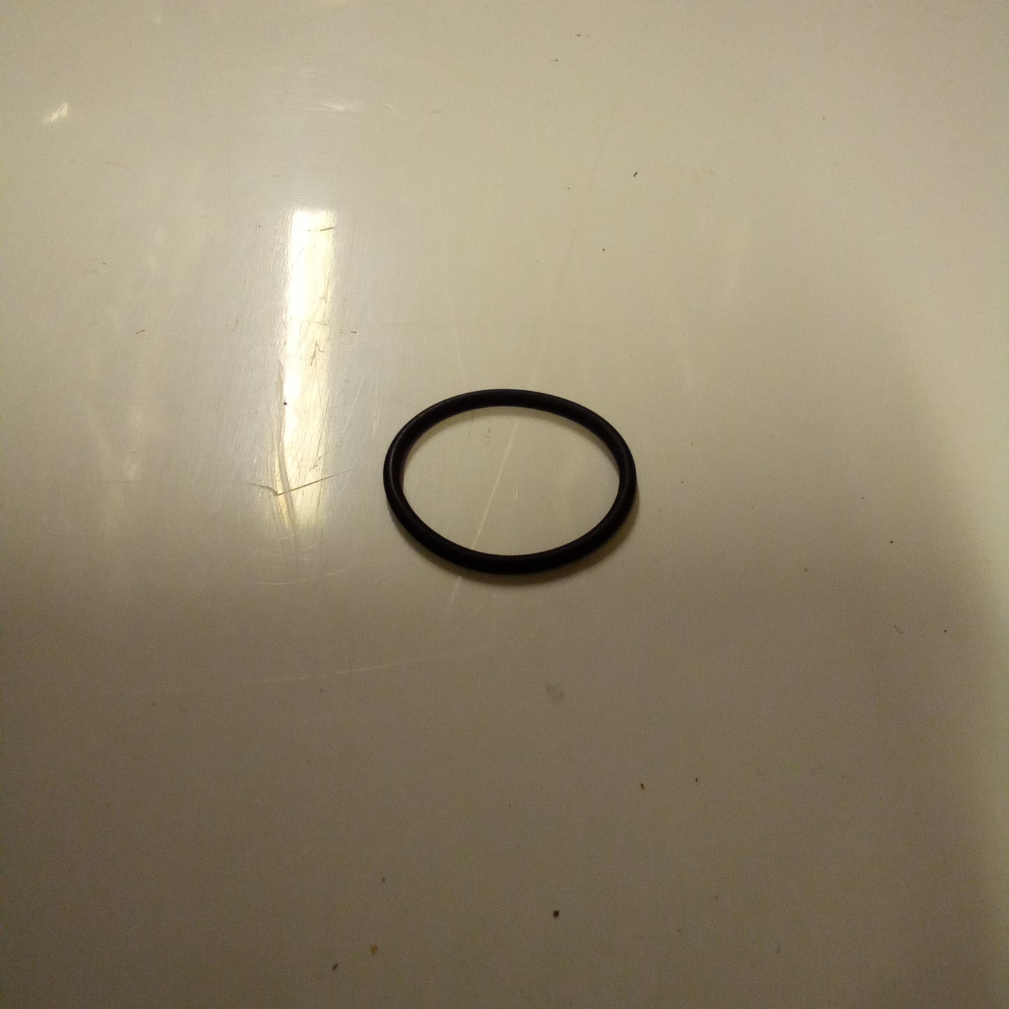 O RING (#969323)