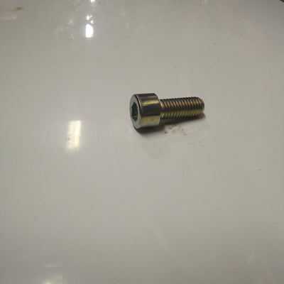SCREW (#98622522)