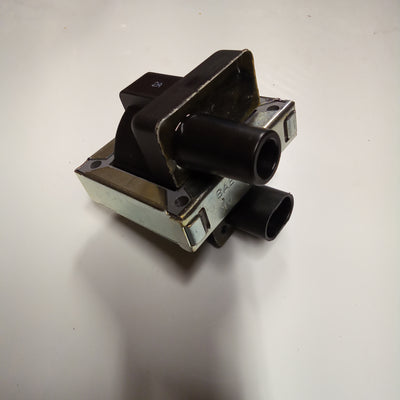 IGNITION COIL (#30716500)