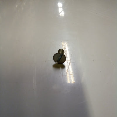 SCREW (#48280614)