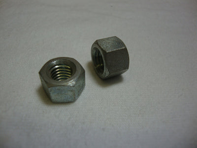 NUT (#19021920)