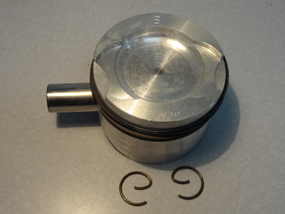 PISTON ASSY. (#19060281)