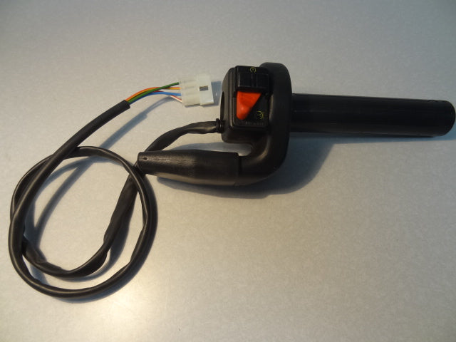 THROTTLE ASSY (#19603480)