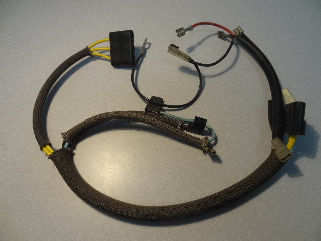 WIRE ASSY. (#19747400)