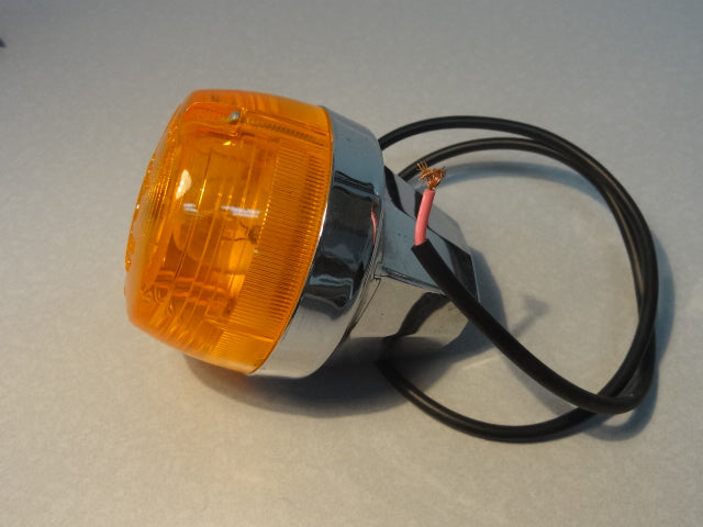 TURN SIGNAL LIGHT (#19750650)