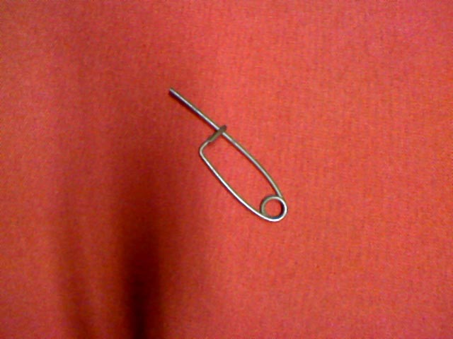 CLIP (#25625900)