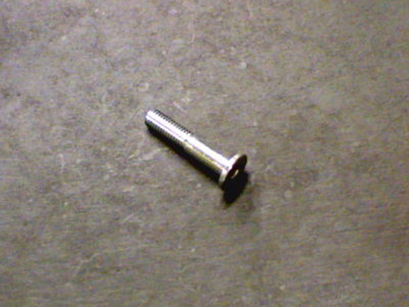 BOLT (#30439060)