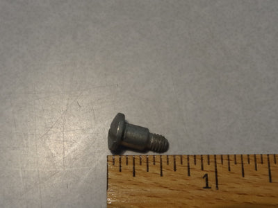 SCREW (#43938200)