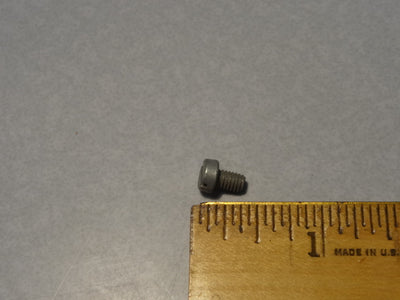 SCREW (#55707900)