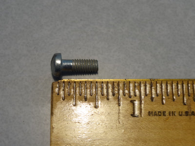 SCREW (#55739985)