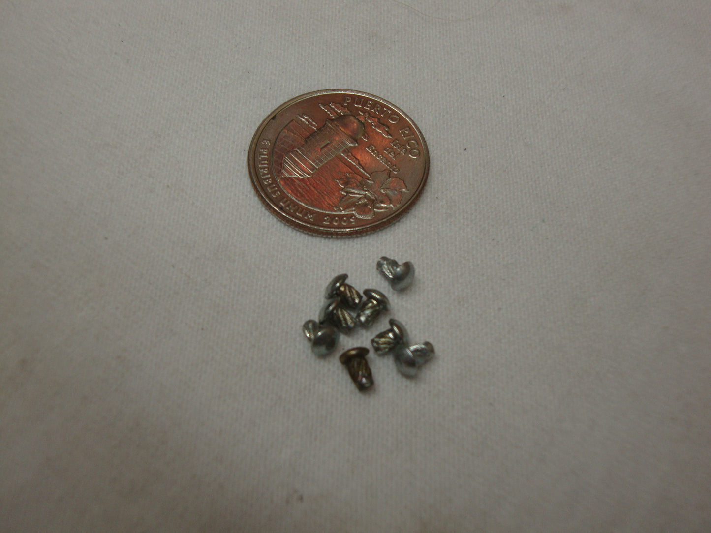RIVET (#61009900)