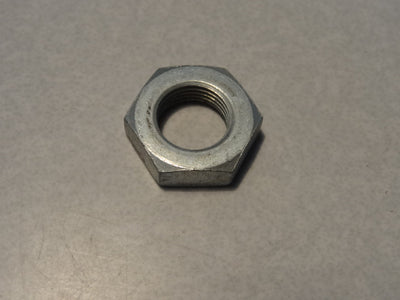 NUT (#63631700)